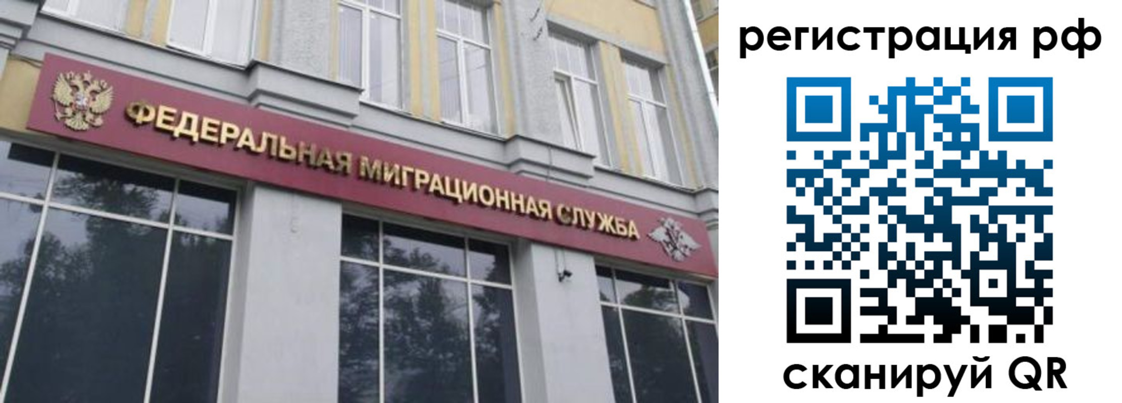 прописка законно в Купино